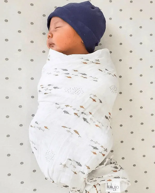 Sada fotodeky a kartiček Lulujo - All you need